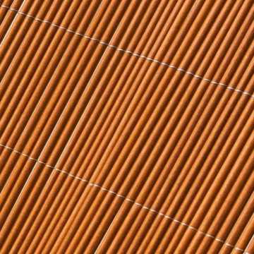 CATRAL - Canisse lop...