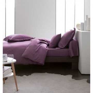 TODAY Drap plat 100% coton...