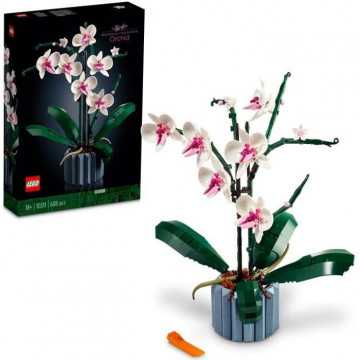 LEGO Icons 10311...