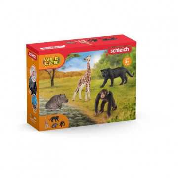 SCHLEICH - Kit de base Wild...