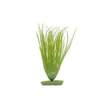 AQUA Plantes artificielles...