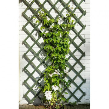 Nature Trellis de jardin 50...