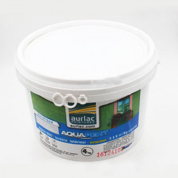Peinture Aquapeint JACINTHE...
