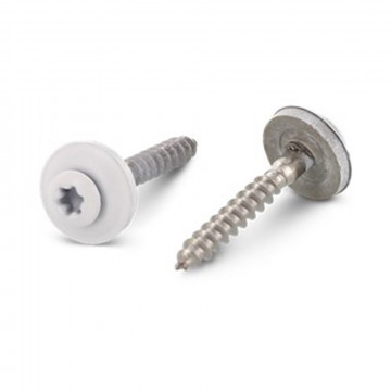 Vis de rive RAL 9010 4.5x25...