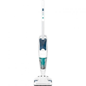 ROWENTA Clean&Steam...