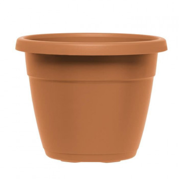 PoeTIC - Pot My City Garden...