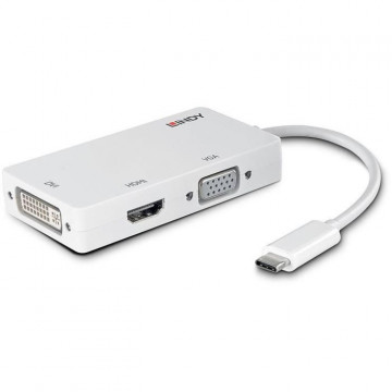 LINDY Convertisseur USB 3.1...