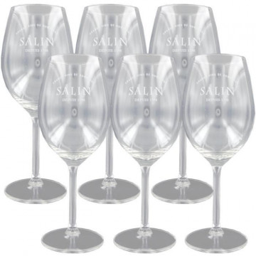 Boîte de 6 verres a vin Salin