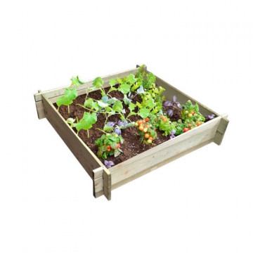 EKJU - Carré potager en pin...