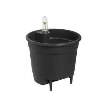 Self-watering Insert 21...