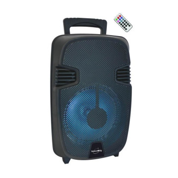 INOVALLEY KA17 - Enceinte...