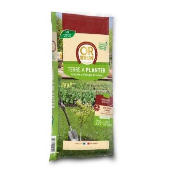 OR BRUN - OBRTTAP20 - Terre...