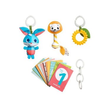 Set cadeau TINY LOVE: un...