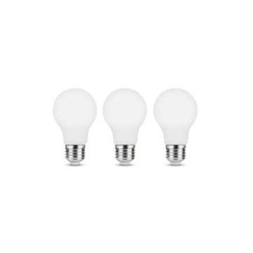 3 ampoules led dépoli...