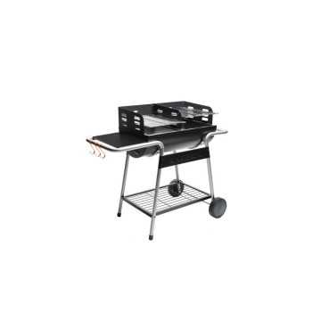 Barbecue au charbon de bois...