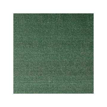 Brise-Vue Vert, H.2 X L.10...