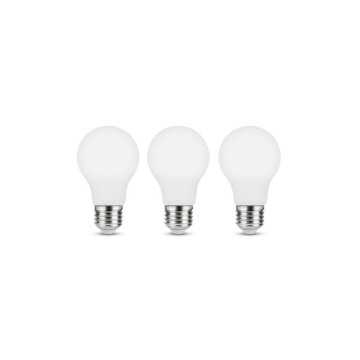 3 ampoules led dépoli...