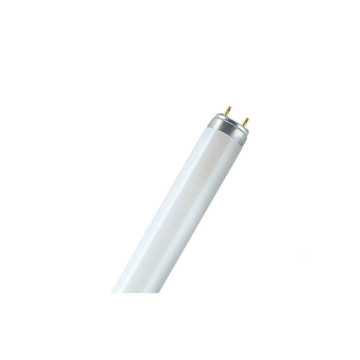 Tube fluo lumilux T8...