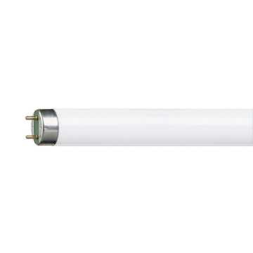 Tube fluorescent Philips...
