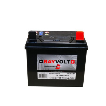 Batterie tondeuse RAYVOLT...