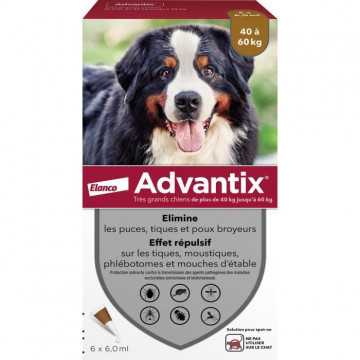 Advantix Chien Solution...