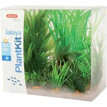 ZOLUX Kit de 6 plantes...